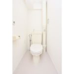 UR Sazanami Plaza Daihachi 2DK Toilet