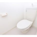 UR Sazanami Plaza Daini 3LDK Toilet